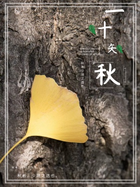 秋季唯美红包配图海报
