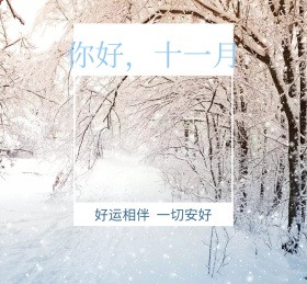 清新简约冬天你好十一月朋友圈封面配图