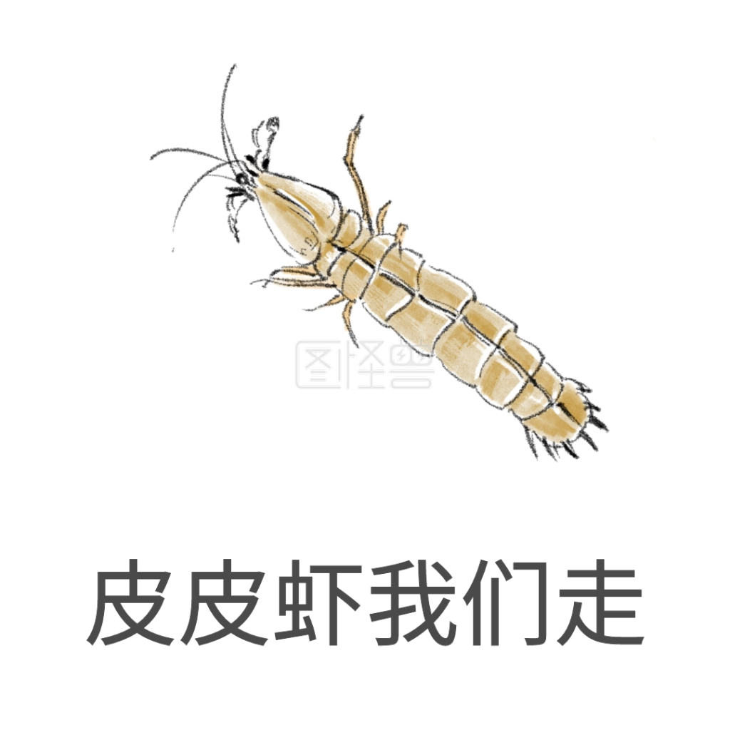 皮皮虾我们走表情包