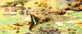 蓝色摄影趣味写真促销公众号封面