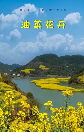 插画手绘简约女孩油菜花海旅游宣传海报