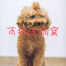 狗窝主图 狗狗 宠物用品