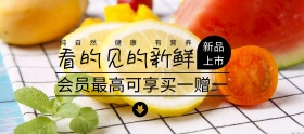 时令水果橙子特价电商banner图片