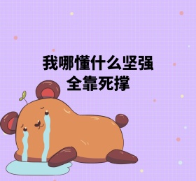 我哪懂什么坚强全靠死撑白底朋友圈封面