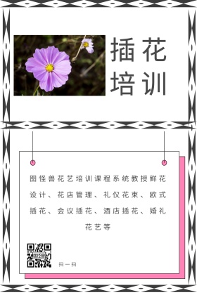 插花培训简约创意公众号配图