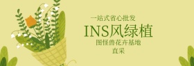 ins风绿植夏季上新banner图片