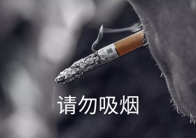 文明中国广告扇