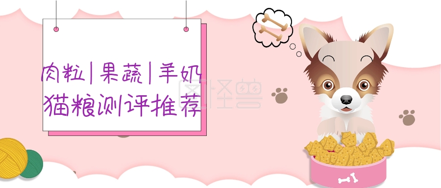 猫粮测评推荐卡通可爱公众号封面