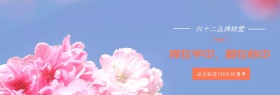 双十二花店活动benner