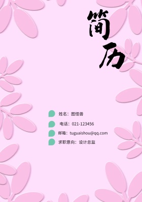 姓名：图怪兽 电话：021-123456 邮箱：tuguaishou@qq.com 求职意向：设计总监 简历封面