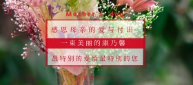 康乃馨母亲节红色简约淘宝banner