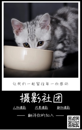 摄影社团 人物摄影 风景摄影 静物摄影 期待你的加入 让我们一起留住每一份感动 摄影社团纳新简约手机海报