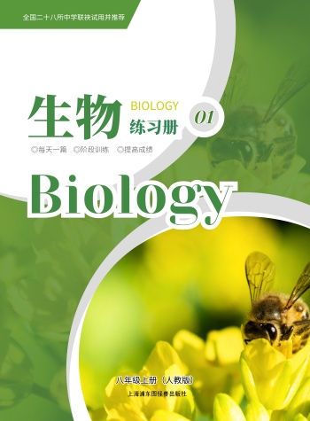 绿色摄影图几何简约生物练习册教材封面