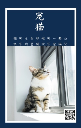 宠猫 猫有九条命唯有一颗心 快乐的星猫欢乐宠猫记 卡通宠物猫之日可爱手机海报