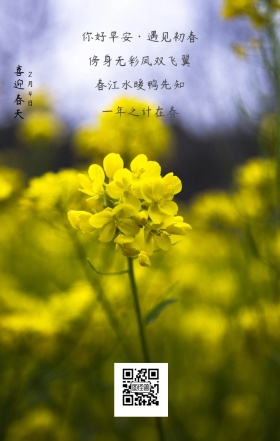 喜迎春天 2月4日 每日一签 一年之计在春 春江水暖鸭先知 傍身无彩凤双飞翼 求心有灵犀一点通。 你好早安·遇见初春 简约清新立春节日日签