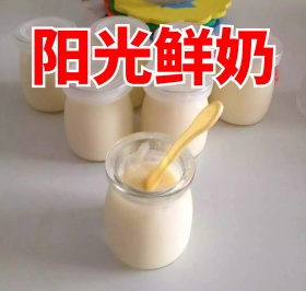 阳光鲜奶