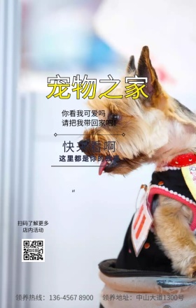 宠物领养店面犬舍宣传促销手机海报