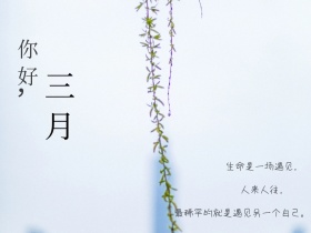 你好，三月公众号横版配图火红