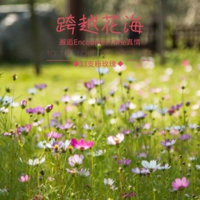 520表白节鲜花主图直通车模板