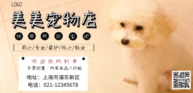 美美宠物店专业用心简约海报