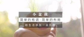 盆栽理想生活节白色简约淘宝banner