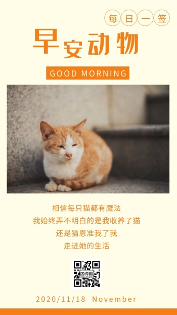 简约风橙色早安动物猫咪文案日签