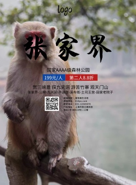 创意大气简约张家界旅游海报