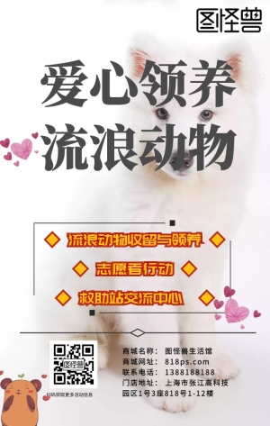 宠物领养动物猫狗卡通手绘可爱海报