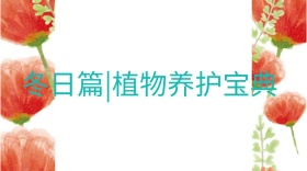 植物养护宝典公众号封面