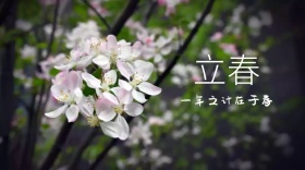 立春创意一年之计在于春公众号封面模版