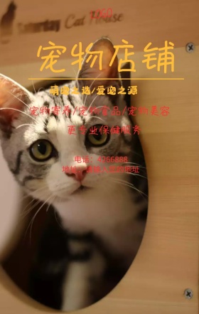 萌宠当家宠物店营销海报