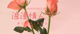 浪漫情人节粉色214公众号封面