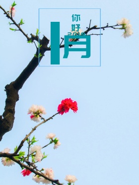 原创插画一月你好一月卡通捧心小熊小清新海报1月你好1月