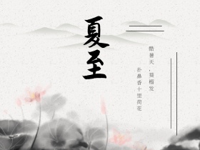夏至创意简约公众号配图模板
