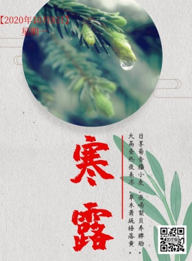 2018寒露节气简约宣传海报