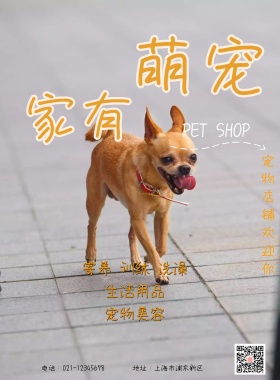 家有萌宠卡通可爱海报设计