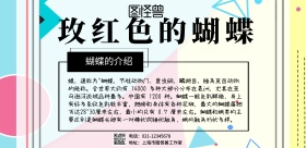 简约玫红色蝴蝶宣传横版海报