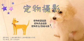小清新宠物绿叶宠物拍照宣传海报