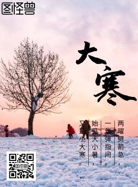 大寒节气宣传海报