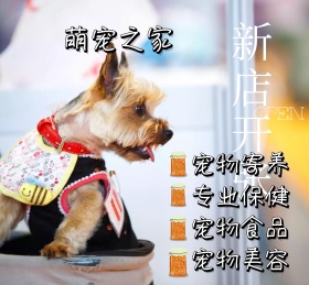 萌宠之家