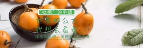纯天然枇杷独家发售淘宝banner