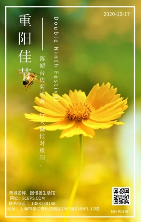 重阳节节日菊花黄色文艺简约日签