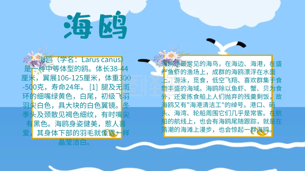 海鸥手抄报动物蓝色