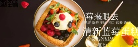 蓝莓甜点简约蓝色官网banner