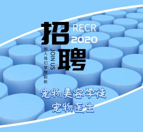 宠物可爱动物招聘诚聘朋友圈封面
