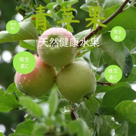 苹果主图 主图模板 苹果水果
