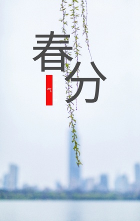 春分节气绿色草地发芽背景手机用图