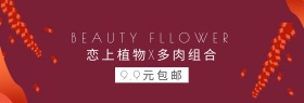 多肉植物盆栽粉丝狂欢节banner图片