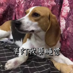 关灯 狗狗 表情包