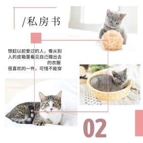 日系唯美小清新樱花猫咪公众号配图